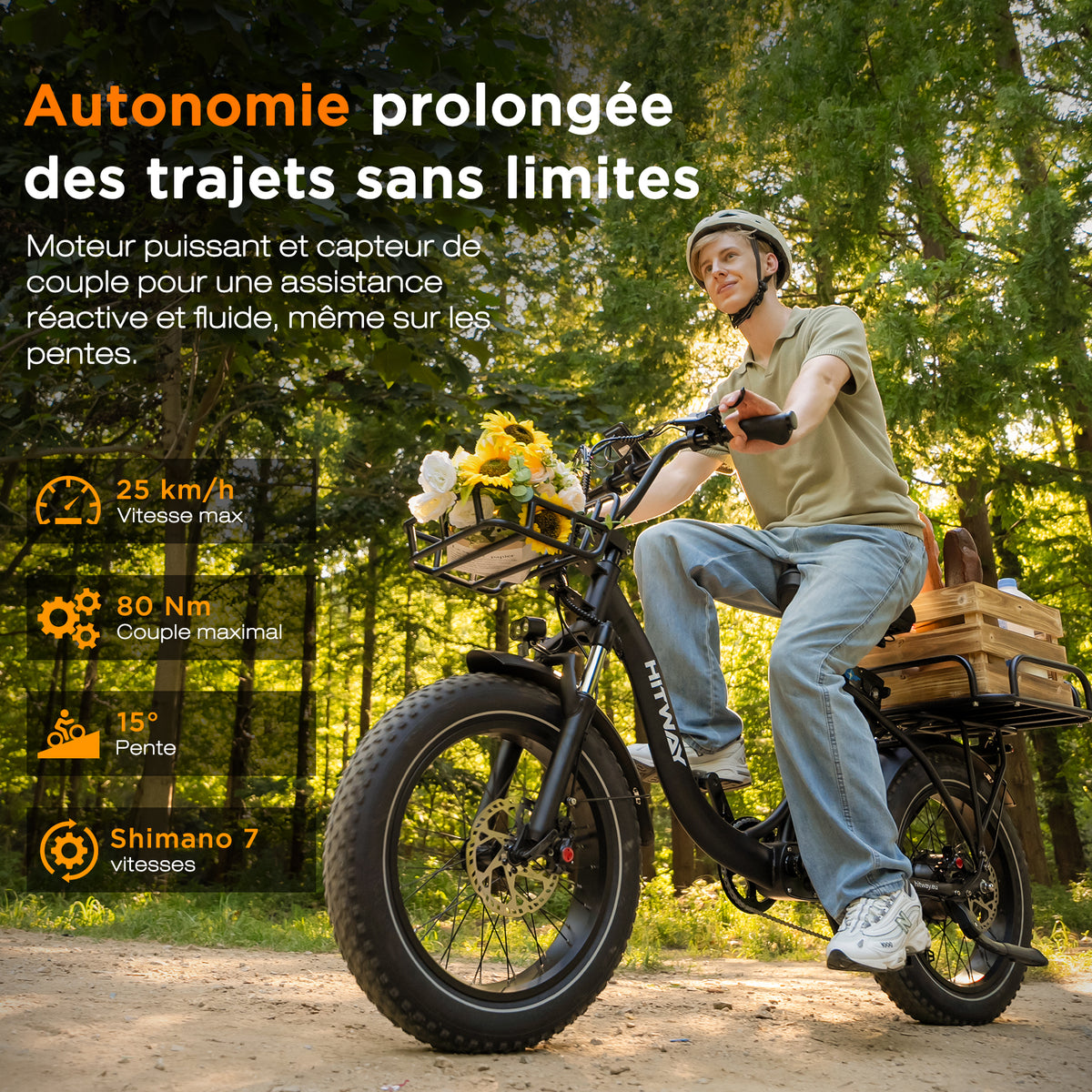 BK6S Plus Vélo cargo électrique