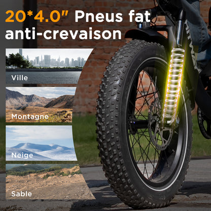 BK6S Plus Vélo cargo électrique