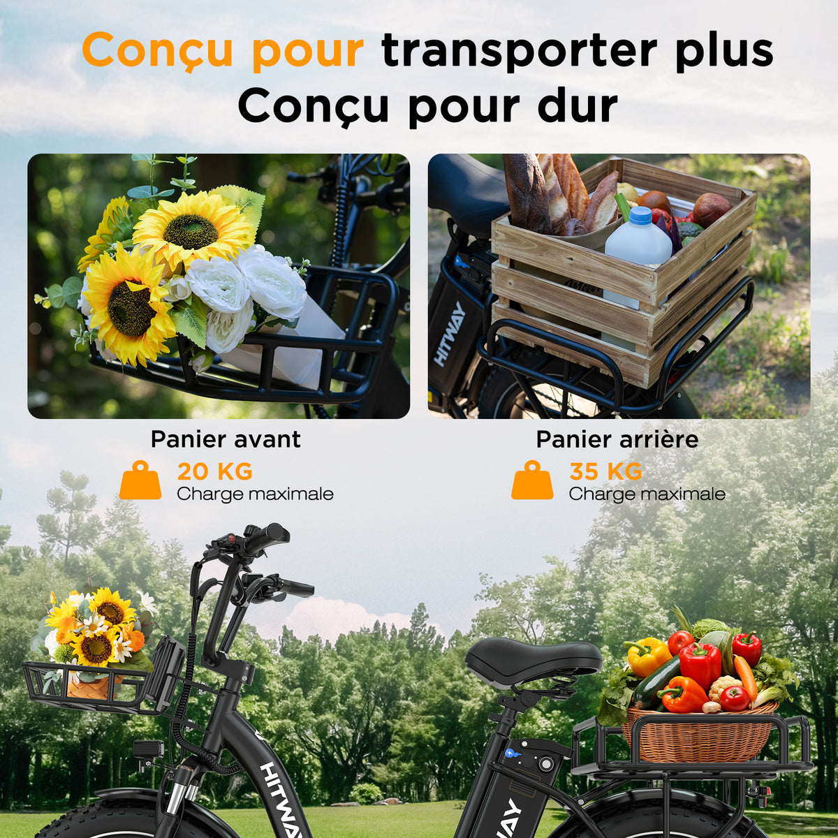 BK6S Plus Vélo cargo électrique