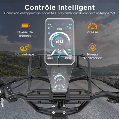 BK6S Plus Vélo cargo électrique