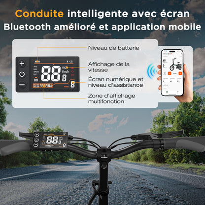 BK5SL Vélo électrique pliant