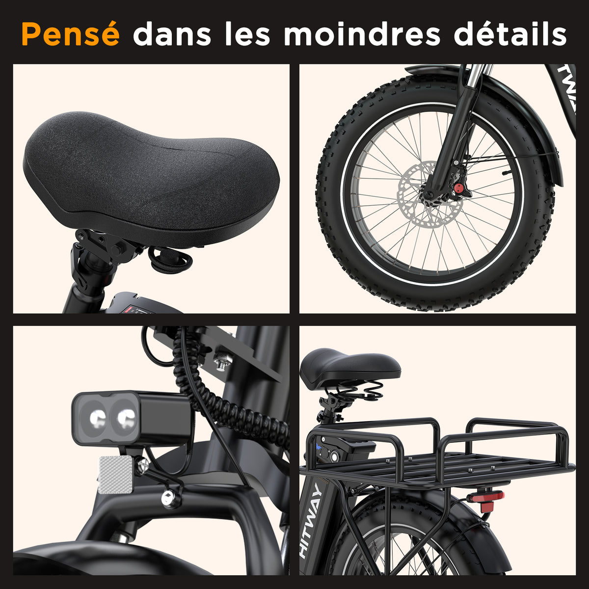 BK6S Plus Vélo cargo électrique