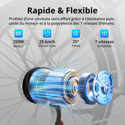 BK7S Plus Vélo électrique 29 pouces