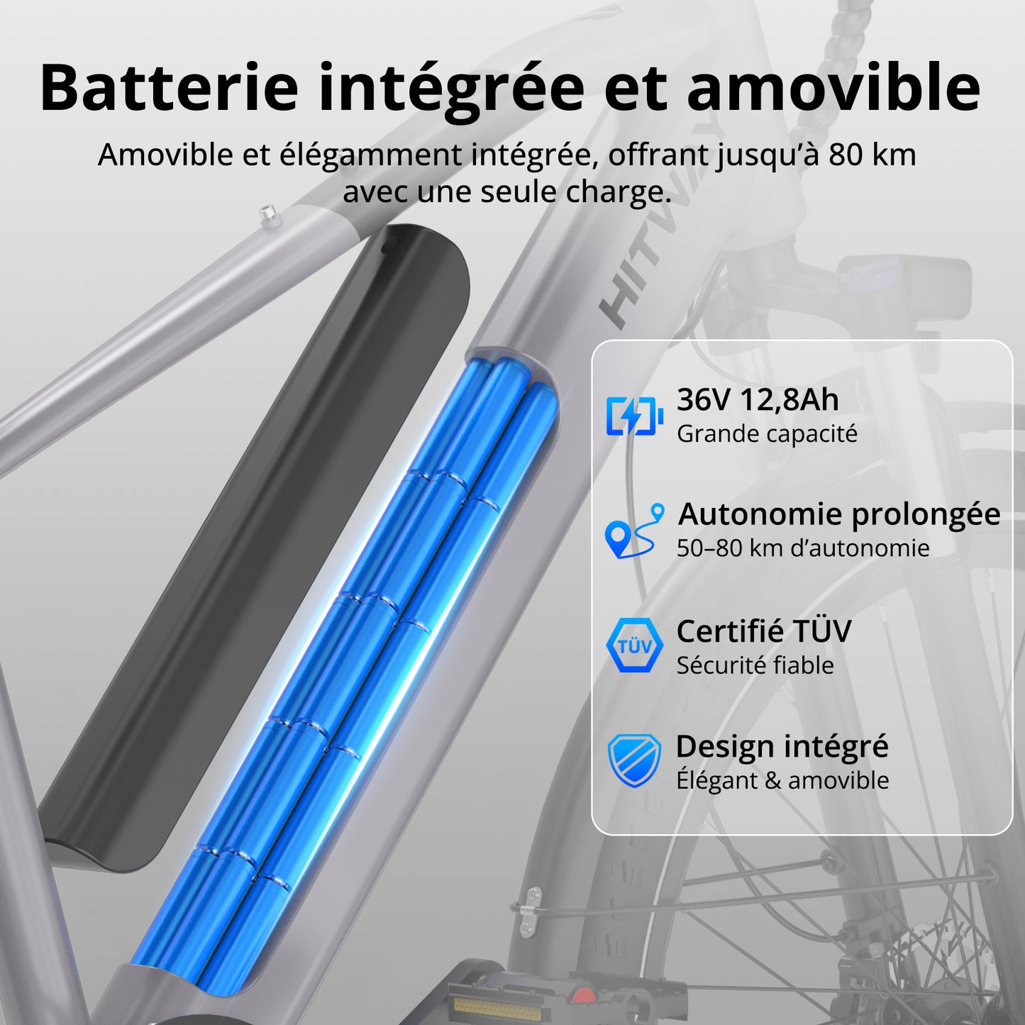 BK7S Plus Vélo électrique 29 pouces