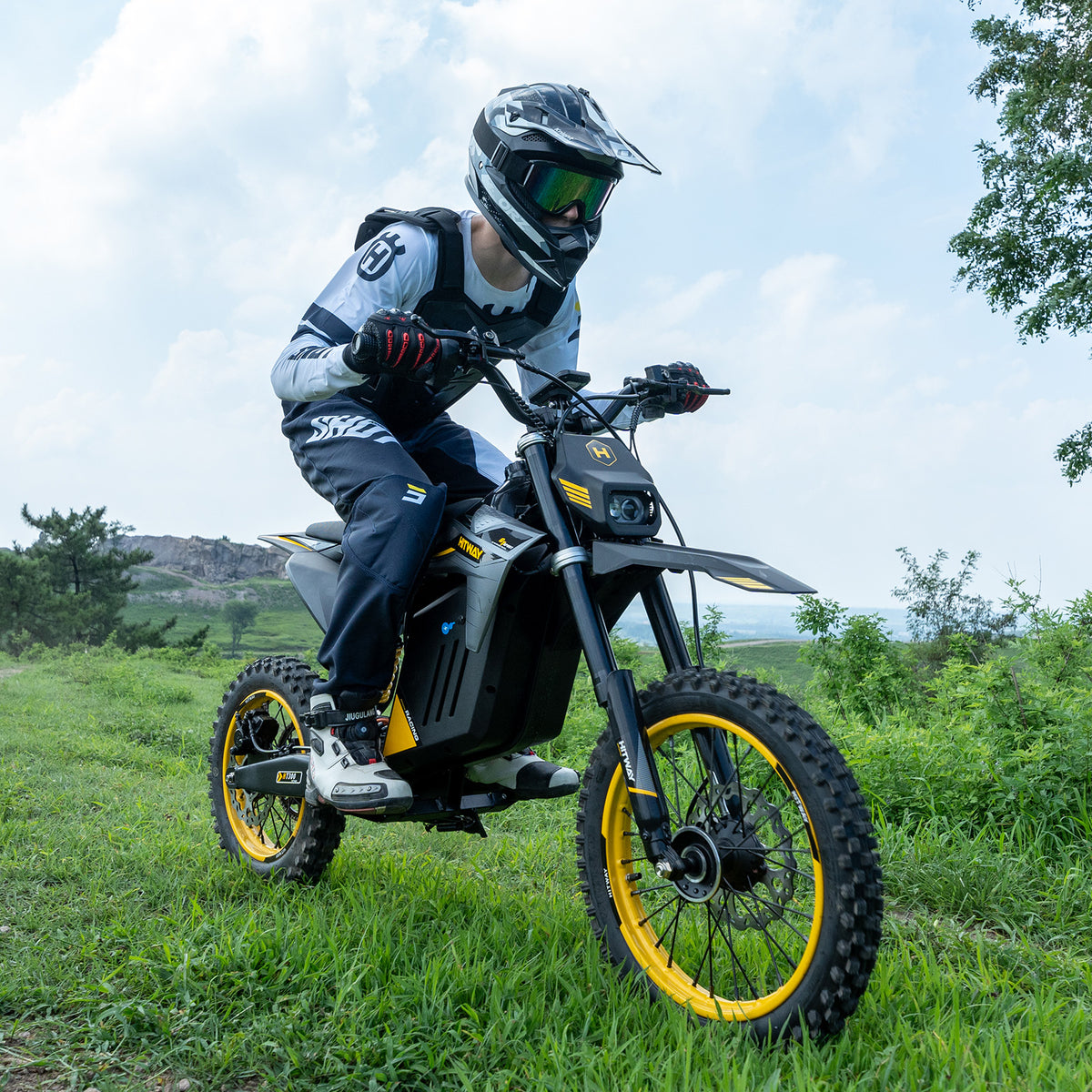 HT300 Moto électrique tout-terrain avec COC