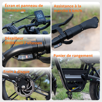 BK30 Vélo électrique à pneus larges