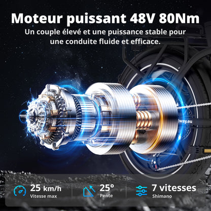 BK6S PRO Vélo Électrique Pliant Fat Bike