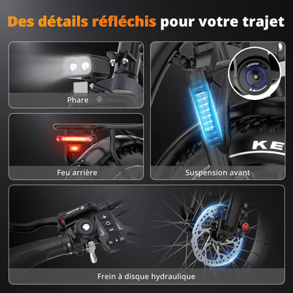 BK6S Plus Vélo cargo électrique