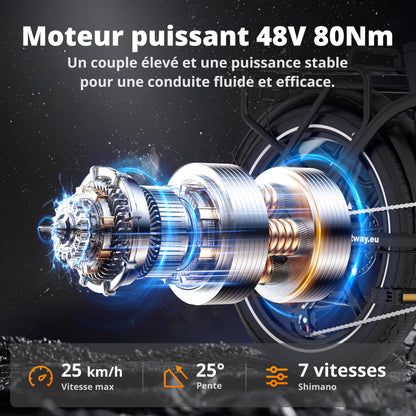 BK6S Plus Vélo cargo électrique