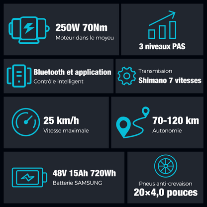 BK10S PRO Vélo électrique pliant