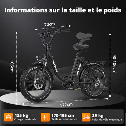 BK6S Plus Vélo cargo électrique