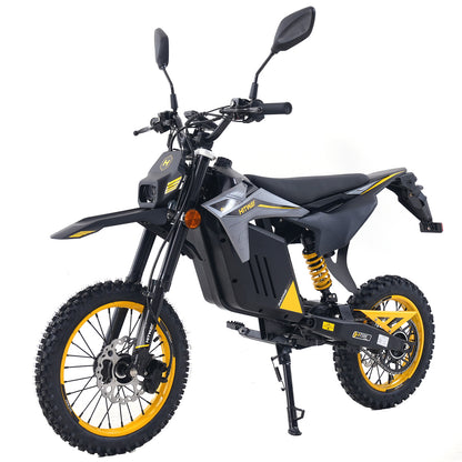 HT300 Moto électrique tout-terrain avec COC