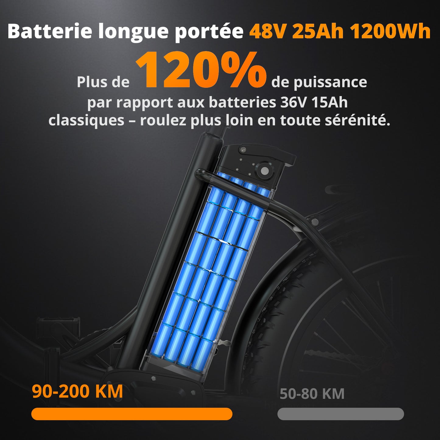 BK6S Plus Vélo cargo électrique