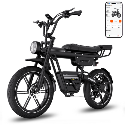 BK30 Vélo électrique à pneus larges